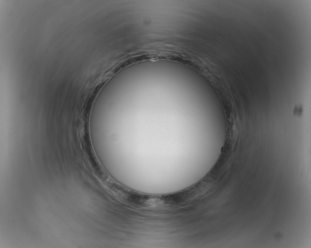 X0000114030562200910021043