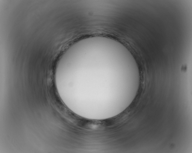 X0000114030563200910021043