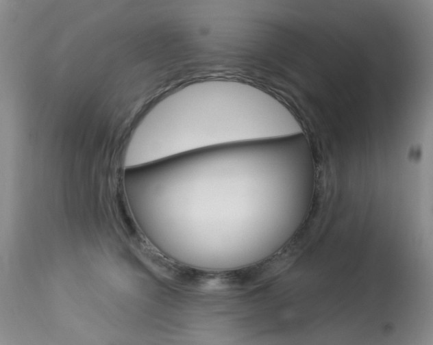 X0000114030564200910021043