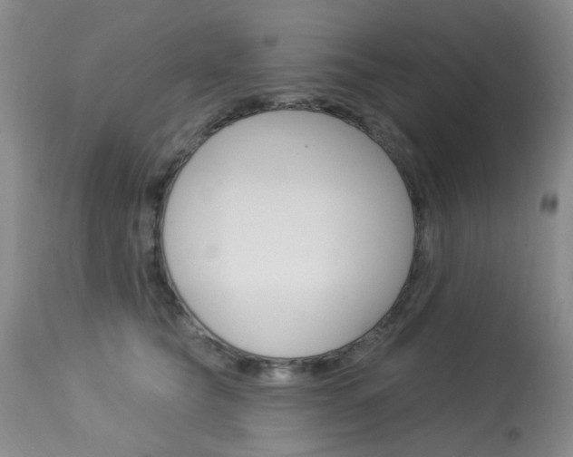 X0000114030565200910021043