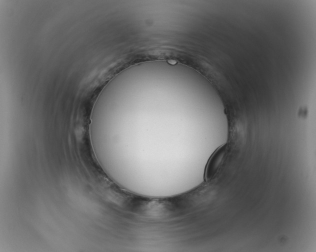 X0000114030566200910021043