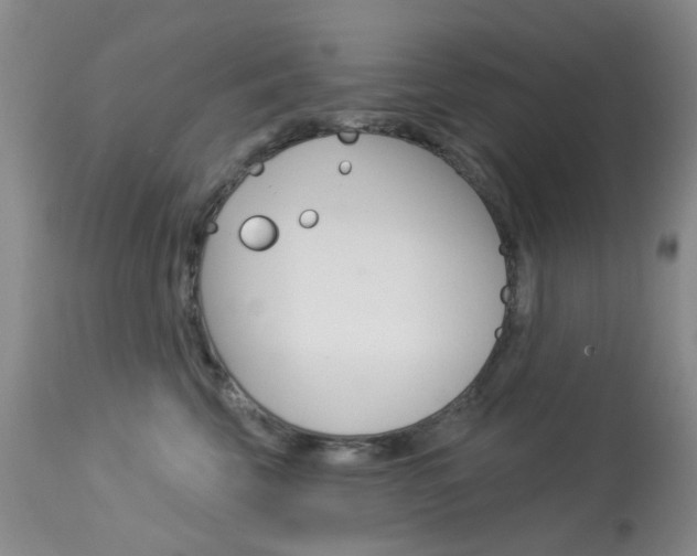X0000114030569200910021043