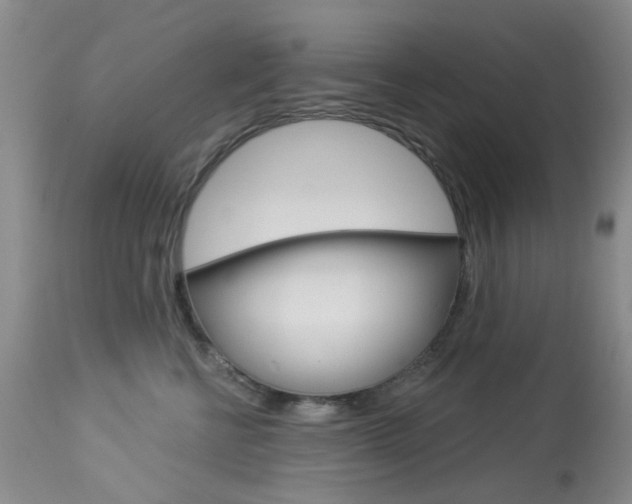 X0000114030570200910021043