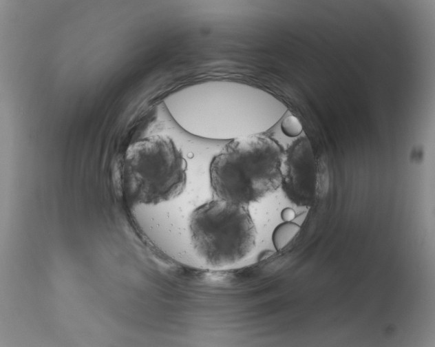 X0000114030573200910021043