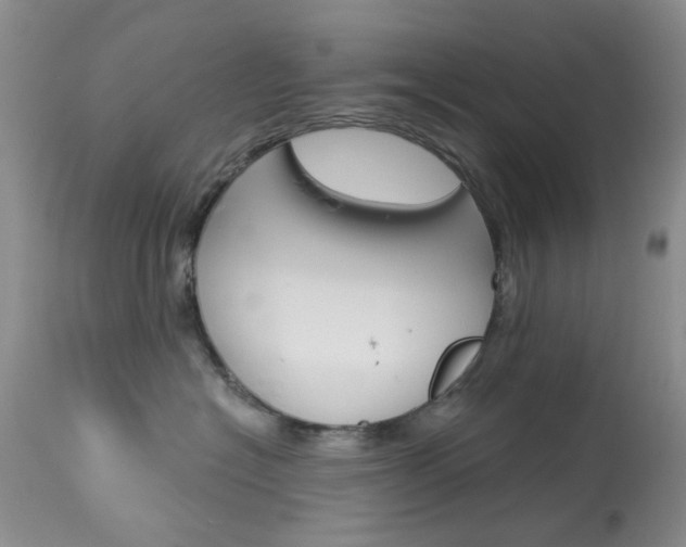 X0000114030574200910021044