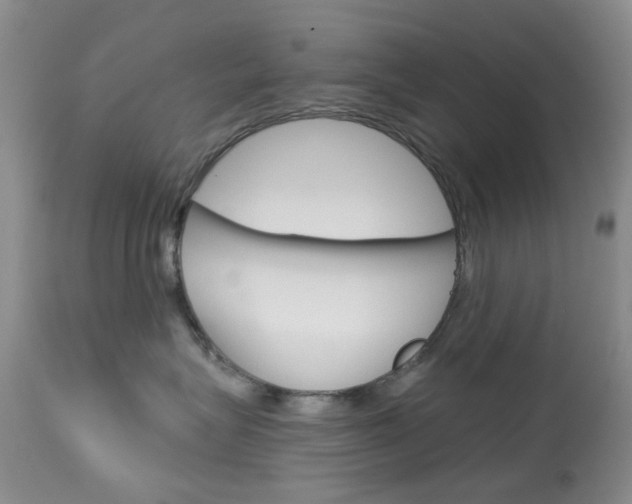 X0000114030575200910021044