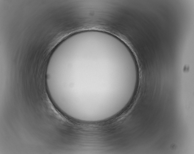 X0000114030577200910021043
