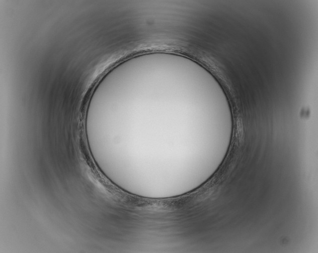 X0000114030578200910021043