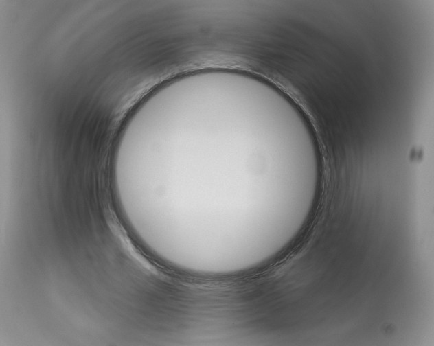 X0000114030581200910021043