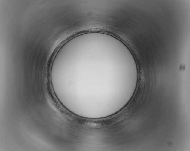 X0000114030582200910021043