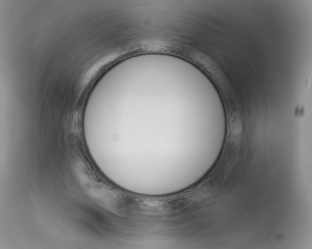 X0000114030583200910021043