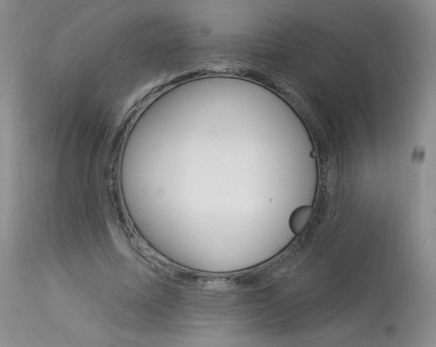 X0000114030587200910021043