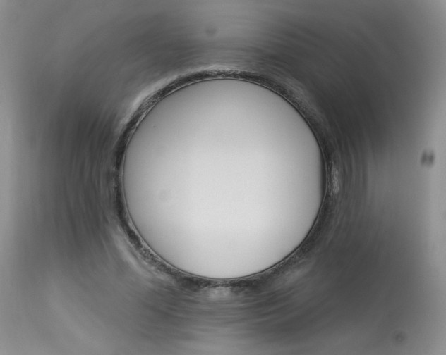 X0000114030588200910021043