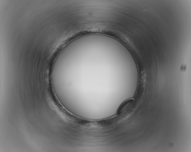 X0000114030589200910021043