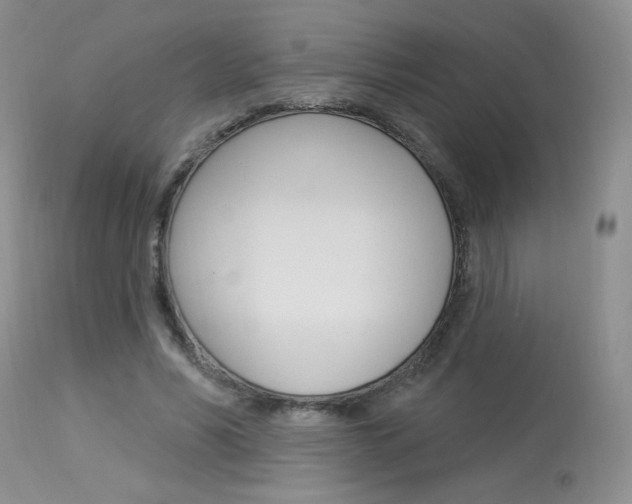 X0000114030590200910021043