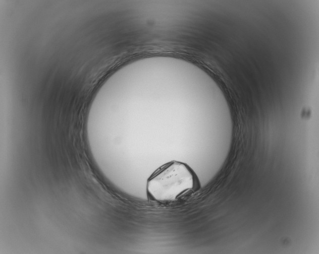 X0000114030593200910021042