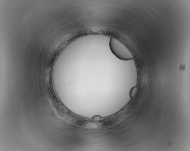 X0000114030595200910021042