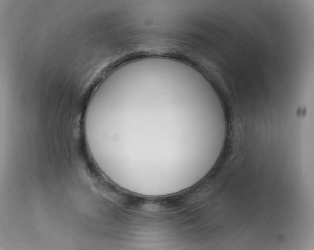 X0000114030596200910021042