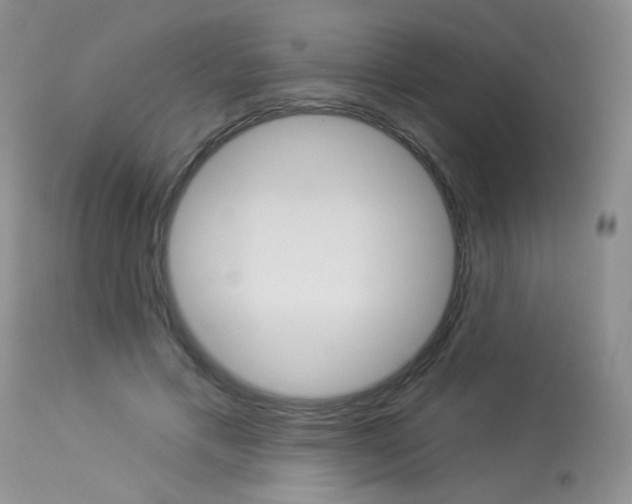 X0000114030597200910021042