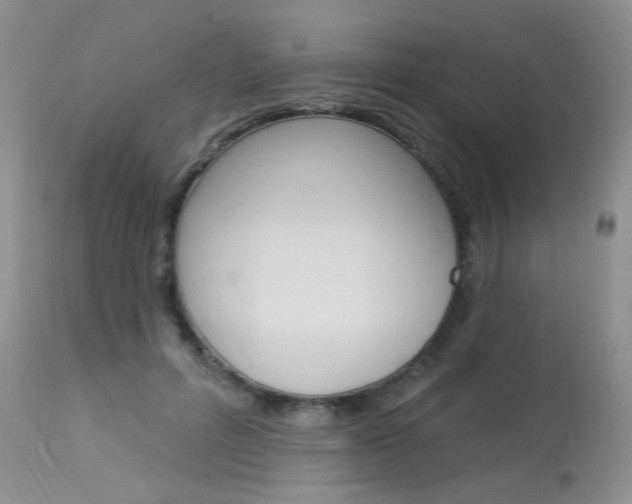 X0000114030600200910021042
