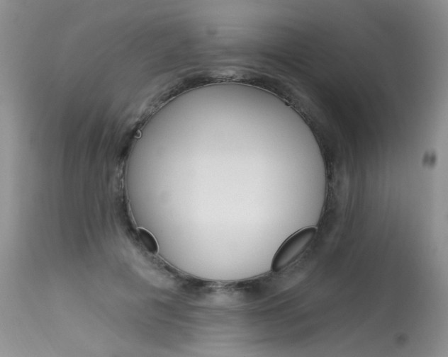 X0000114030601200910021042