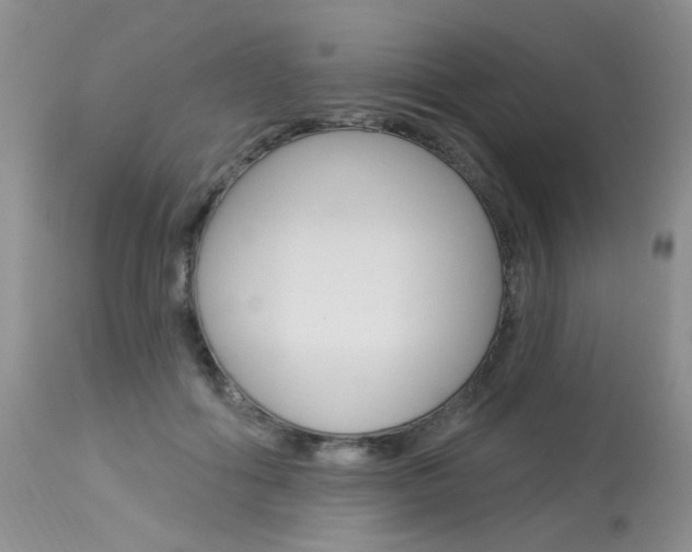 X0000114030602200910021042