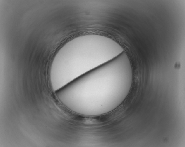 X0000114030605200910021042