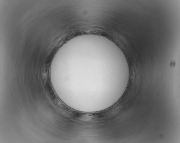 X0000114030607200910021042