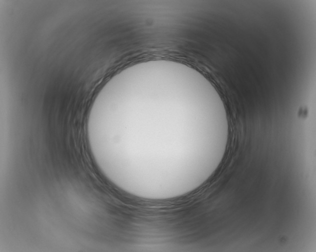 X0000114030613200910021042