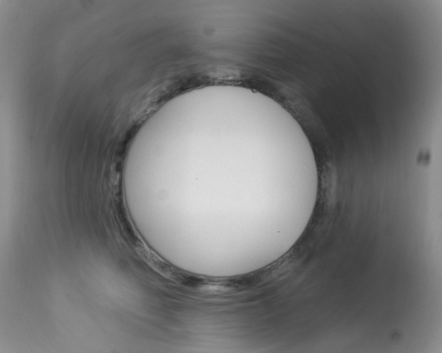 X0000114030614200910021042