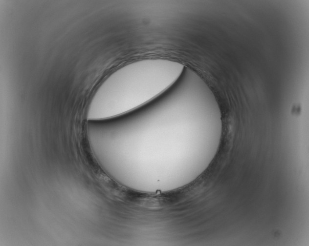X0000114030615200910021042