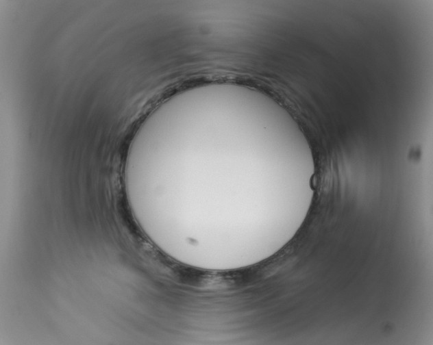 X0000114030616200910021042