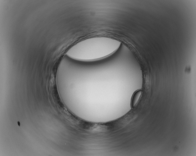 X0000114030617200910021042