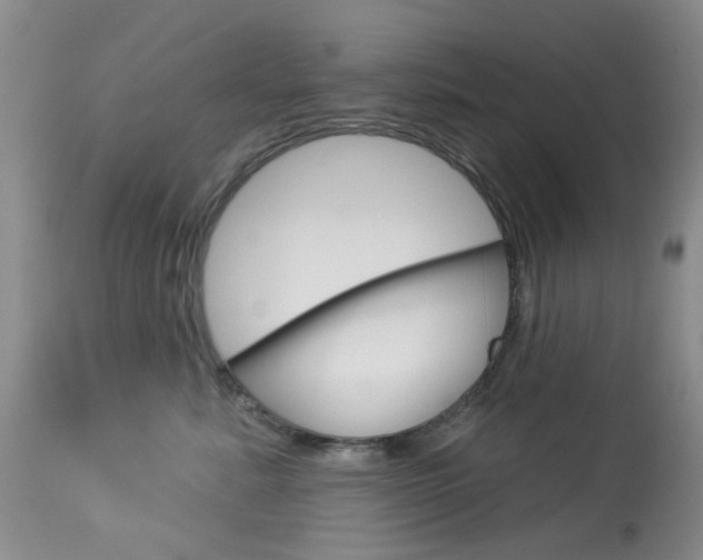 X0000114030619200910021042