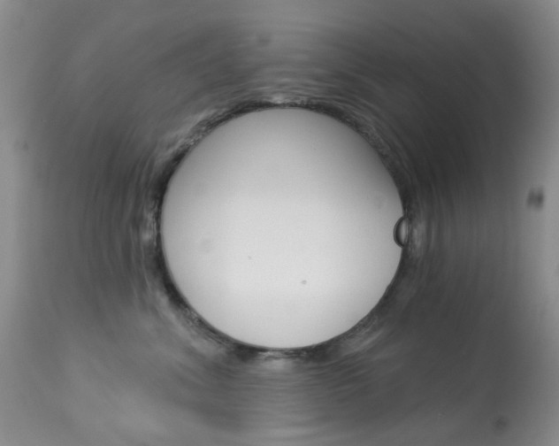 X0000114030620200910021042