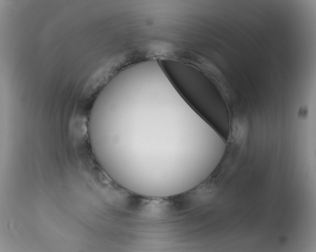 X0000114030621200910021042