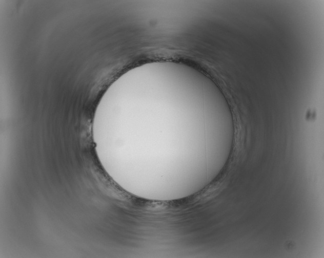 X0000114030624200910021042
