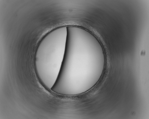 X0000114030625200910021041