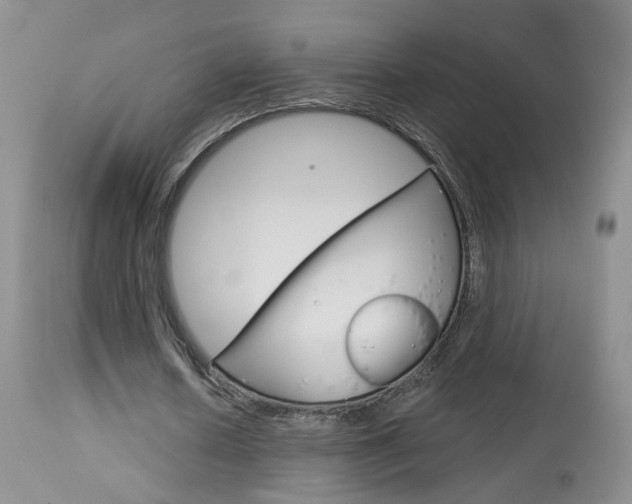X0000114030626200910021041