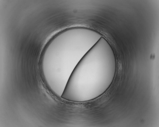 X0000114030628200910021041