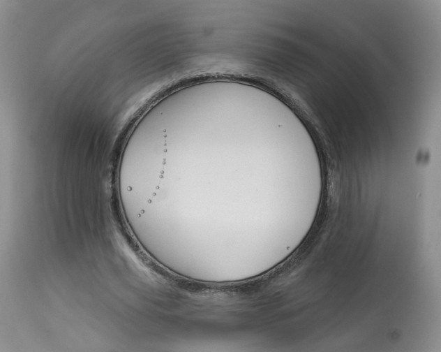X0000114030629200910021041