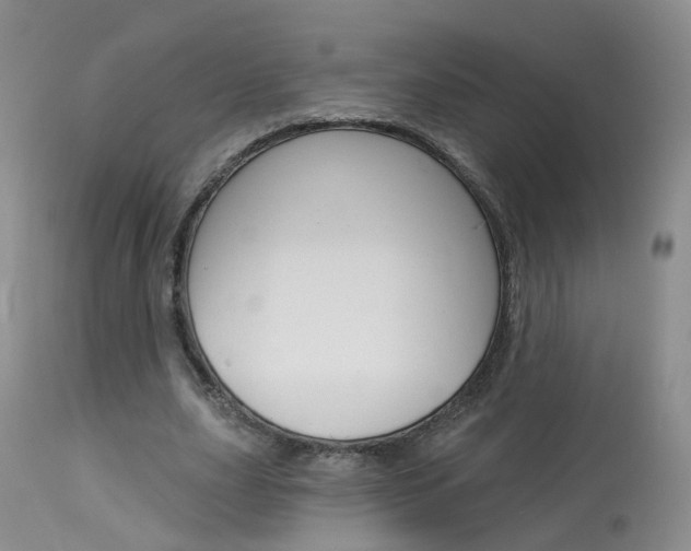 X0000114030631200910021041