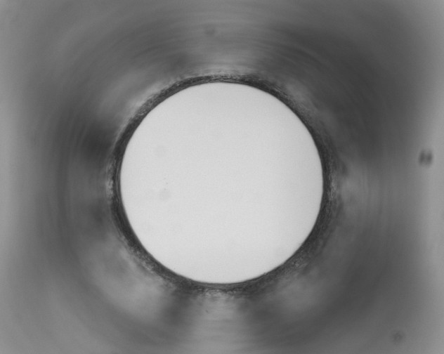 X0000114030632200910021042