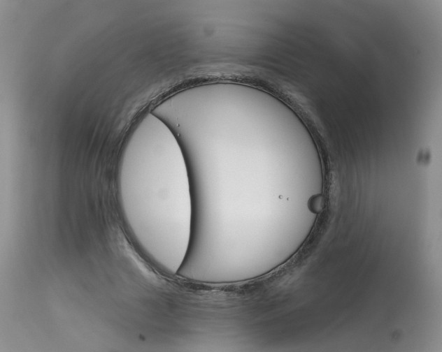 X0000114030633200910021042