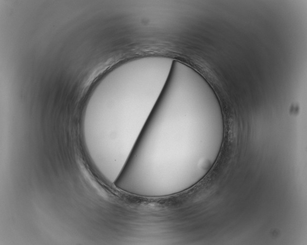 X0000114030634200910021042