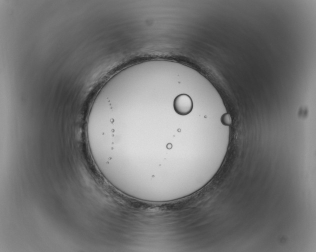 X0000114030635200910021042