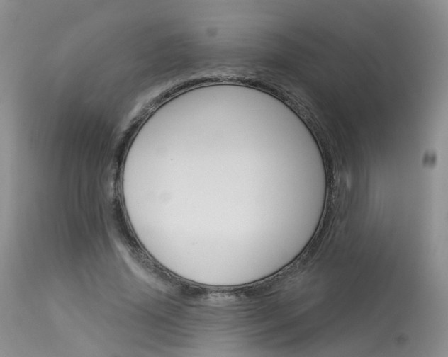 X0000114030636200910021042