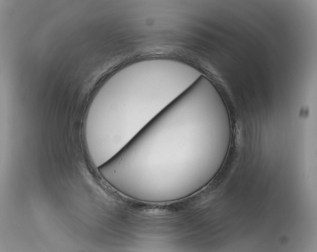 X0000114030637200910021042