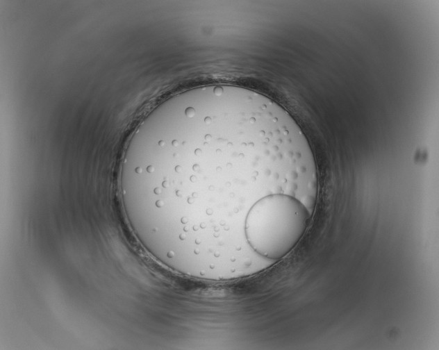 X0000114030639200910021042