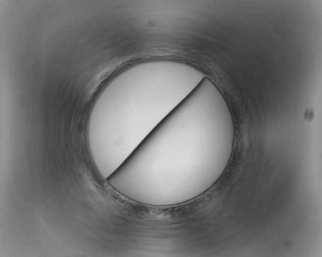 X0000114030640200910021042